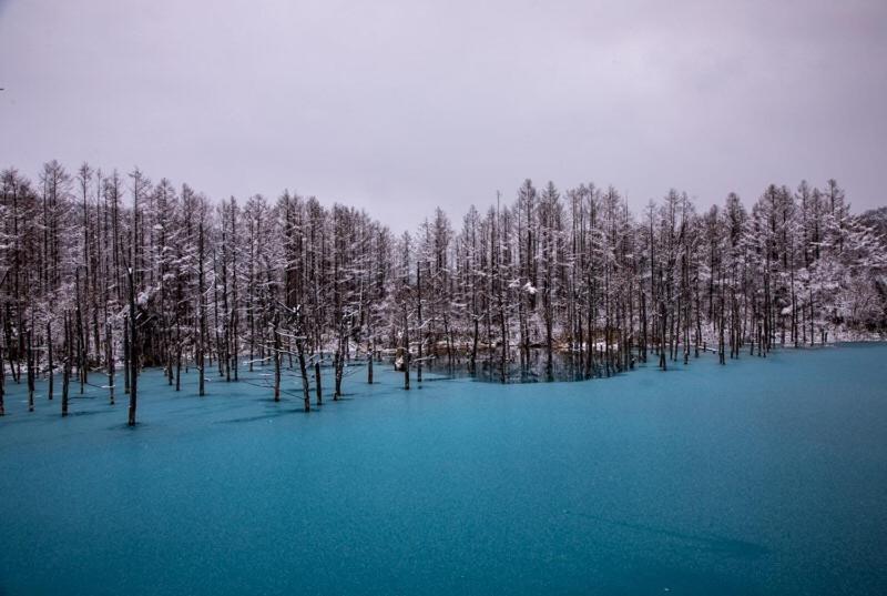 Biei Shirogane No Yu Otel Dış mekan fotoğraf